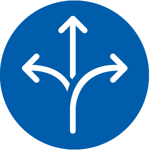 Flexibility icon showing branching options